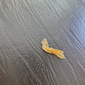 Dondurulmuş İçli Köftede Plastik Parça: Gıda Güvenliği Endişesi