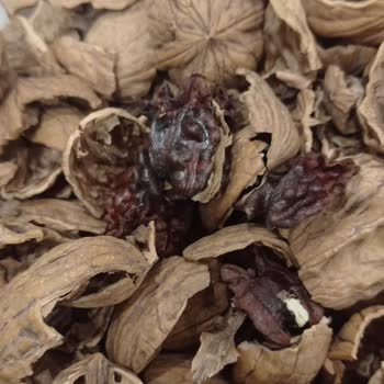 Aldığım Cevizlerin Yarısı Çürük Ve Kurtlu Çıktı