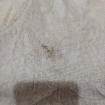 Vestel Çamaşır Makinesi Sorunları Ve Servis Mağduriyetiyle Baş Edemiyorum