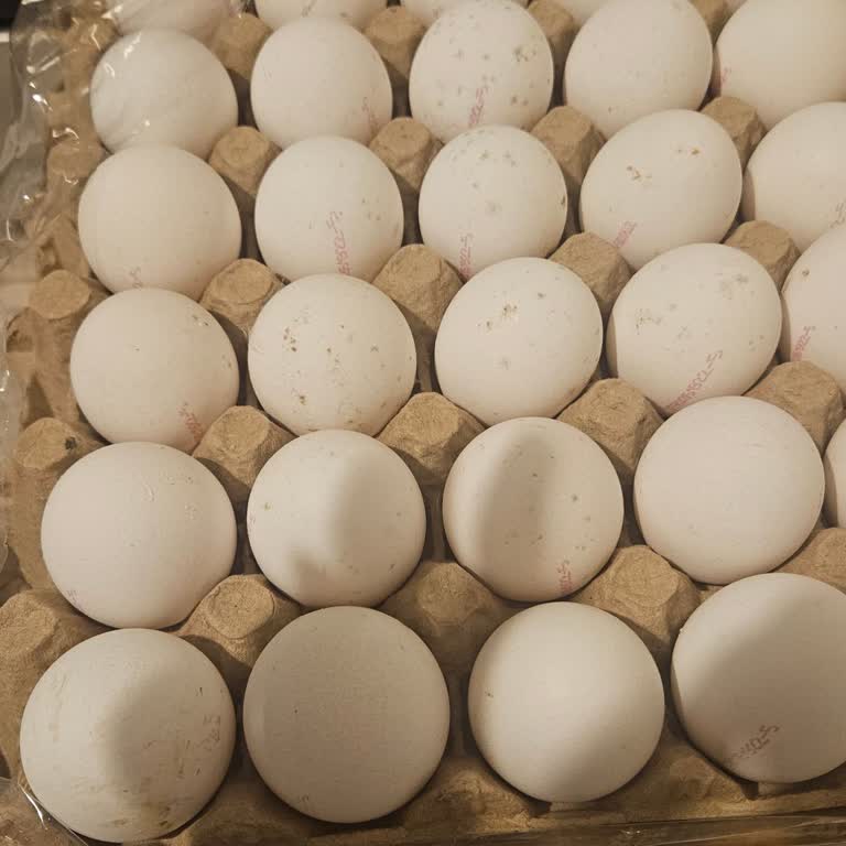 Küflü Yumurta Satışıyla Sağlığımız Tehlikeye Atıldı