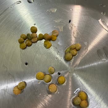Aldığım Yeşil Mercimeklerde Böcek Çıkması Ve Güven Kaybı