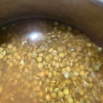 Aldığım Yeşil Mercimeklerde Böcek Çıkması Ve Güven Kaybı