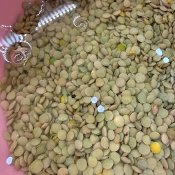 Eki aç