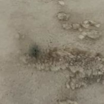 Aba Halı Yıkama'da Hem Hizmet Hem Davranış Hayal Kırıklığı