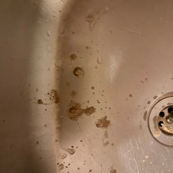 Nescafe Soğuk Kahvede Bozuk Ürün Ve Garip Parçalar Şoku