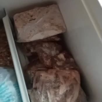 Fatura Ödendiği Halde 24 Gün Süren Elektrik Kesintisi Ve Maddi Kayıp