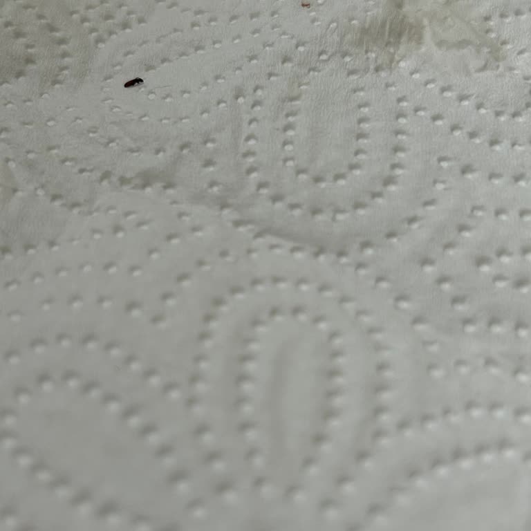 Granola Ürününde Kurt Çıkması Hijyen Ve Sağlık Endişesi Yarattı