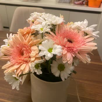 Siparişimde Gelen Çiçek Görselden Farklı Ve Solgundu Hayal Kırıklığı Yaşadım