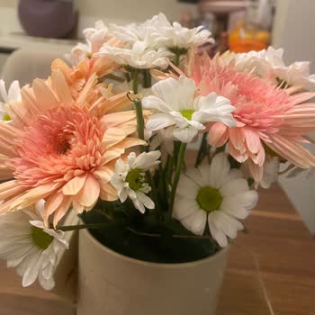 Siparişimde Gelen Çiçek Görselden Farklı Ve Solgundu Hayal Kırıklığı Yaşadım