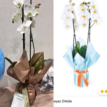 Çiçek Sepeti Siparişim Eksik Ve Kalitesiz Teslim Edildi Görselden Farklı Ürün Gönderildi