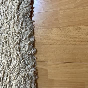 Yıkanmamış Halılar Ve Kaba Müşteri Hizmeti Nedeniyle Mağduriyet