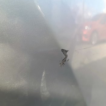 Toyota Garanti Kapsamında Tampon Çiziklerine Çözüm Sunulmuyor