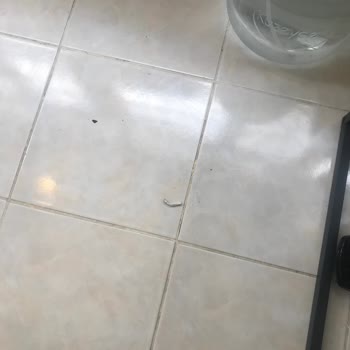 Eleman Yönlendir Beklentileri Karşılamayan Temizlik Hizmeti Ve İlgisiz Müşteri Desteği