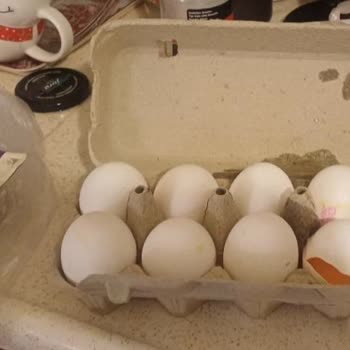 Hasarlı Ürünler Ve Yetersiz İade Süreci Nedeniyle Mağduriyet