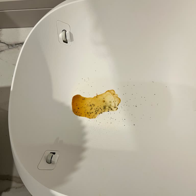 Evofone Petkit Pura Max Kedi Tuvaletinde Sürekli Sızıntı Ve Hijyen Problemi Yaşıyoruz