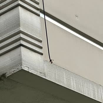 Bina Dış Cephesine Yapılan Düzensiz Kablolama Nedeniyle Mağduriyet