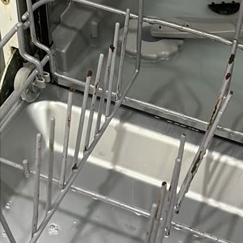 Yeni Bulaşık Makinesinde Paslanma Ve İlgisiz Servis Mağduriyeti