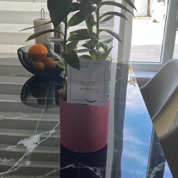 Geç Teslimat Ve Beklentileri Karşılamayan Ürün Nedeniyle Mağduriyet