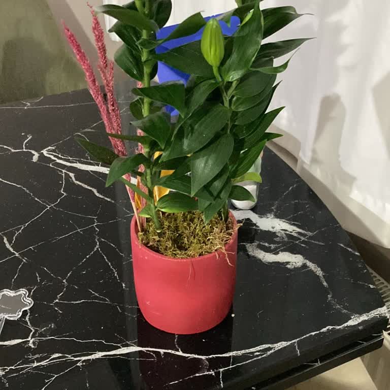 Geç Teslimat Ve Beklentileri Karşılamayan Ürün Nedeniyle Mağduriyet