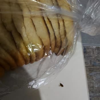 Dağıtılan Ekmekte Hamam Böceği Buldum, Hijyen Konusunda Endişeliyim