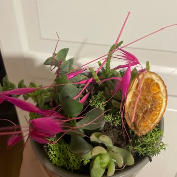 Siparişim Görseldekinden Farklı Ve Kalitesiz Geldi, Müşteri Hizmetlerine Ulaşamıyorum