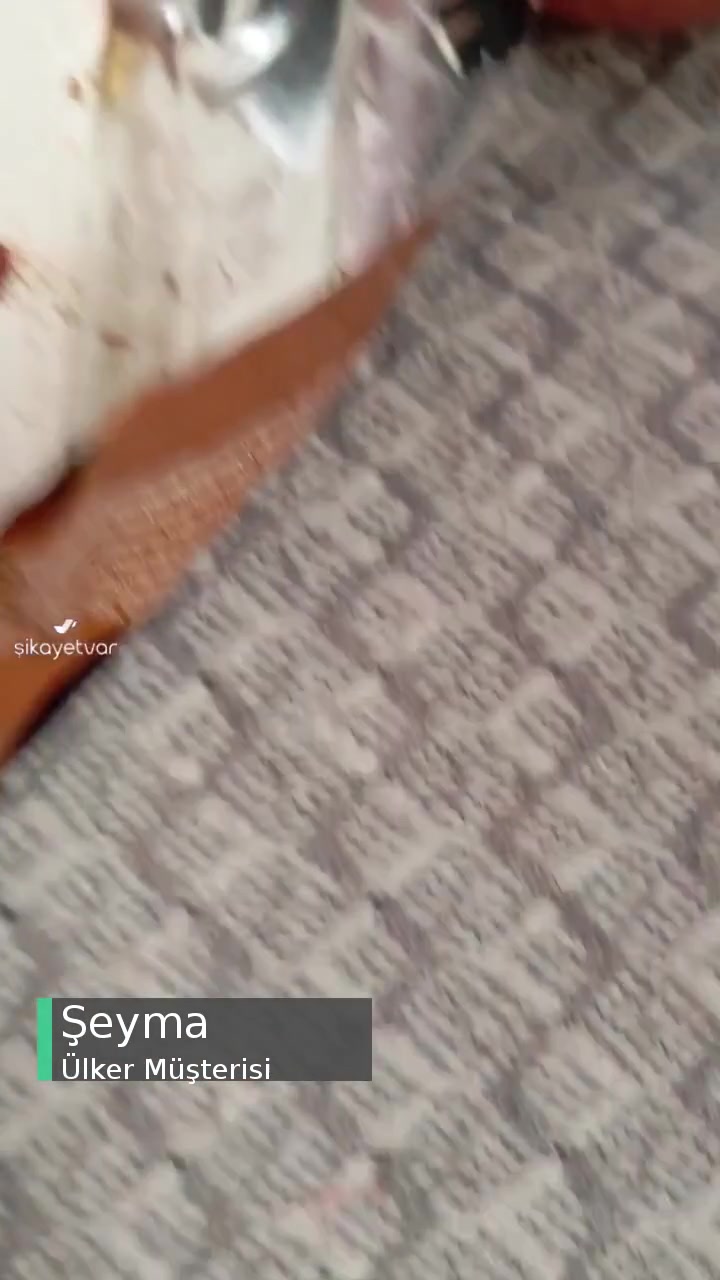 Ülker Olala Kurt Çıktı! videonun kapak resmi