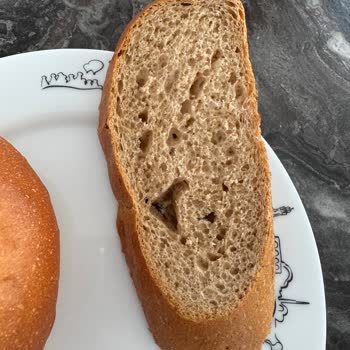 Aldığım Ekmekten Böcek Çıkması Hijyen Endişesi Yarattı