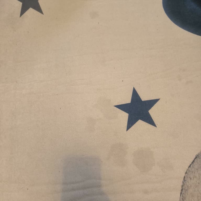 Halı Yıkama Hizmeti Eksik Ve Kusurlu: Ücret İadesi Talebim Reddedildi