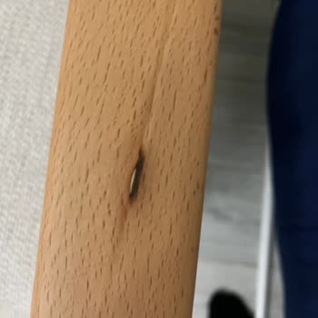 Bellona'dan Aldığım Koltuk Ve Yemek Odası Takımı Kusurlu Çıktı