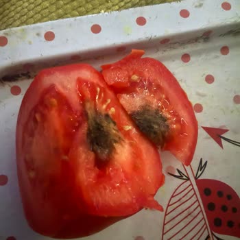 Çekiliş Hakkı Vaadiyle Alışverişte Yaşanan Kafa Karışıklığı Ve Müşteri Mağduriyeti