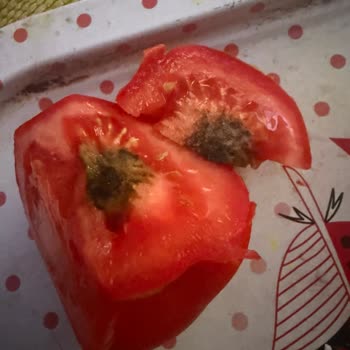 Çekiliş Hakkı Vaadiyle Alışverişte Yaşanan Kafa Karışıklığı Ve Müşteri Mağduriyeti