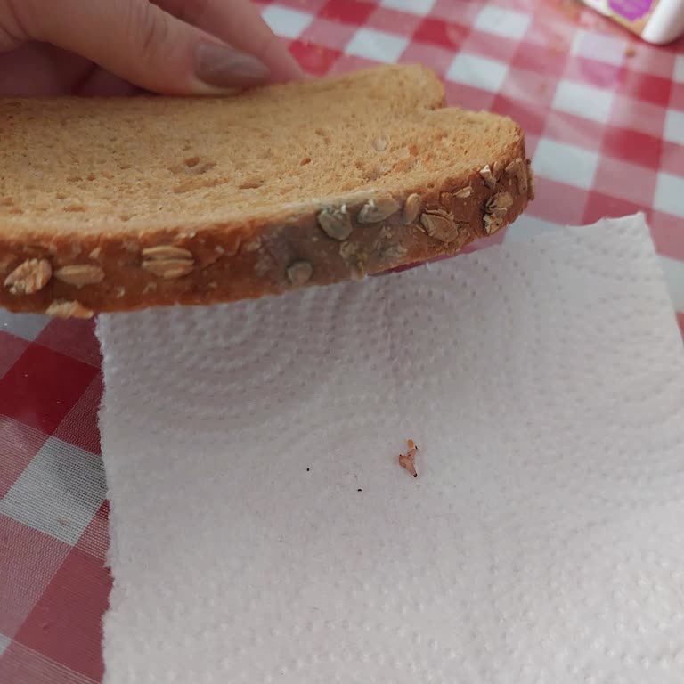 Şok Marketten Aldığım Küflü Ve Kurtlu Ekmek Sağlığımı Tehdit Etti