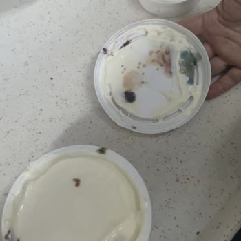 Bahçıvan Son Kullanma Tarihi Geçmemiş Peynirde Küf Ve Koku Şoku