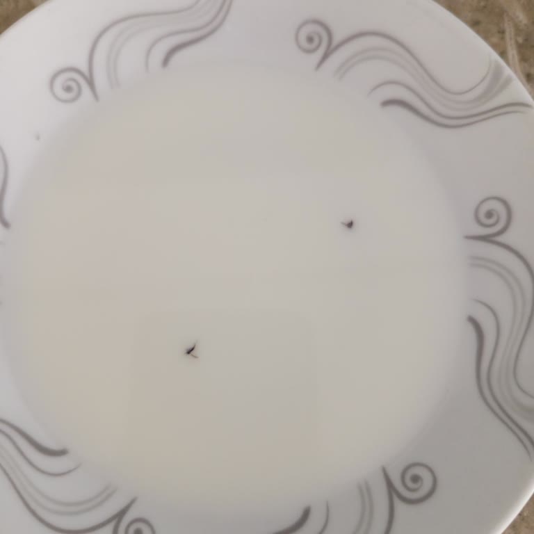 Satın Aldığım Sütün İçinden Sinek Ve Siyah Parçalar Çıktı
