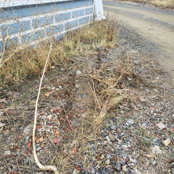 Konut Sigortası Hasar Talebimin Haksız Yere Reddedilmesi