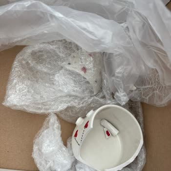 Eksik Ve Kırık Ürün, Çözülmeyen Sorun: Çiçek Sepeti'nden Hayal Kırıklığı