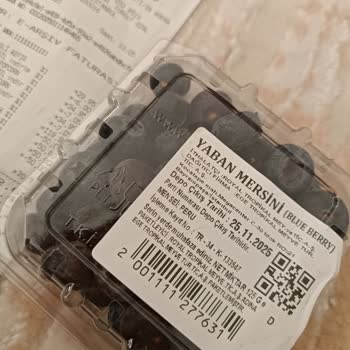 Migros’tan Aldığım Blueberry Eve Geldiğimde Küflü Çıktı İade Talep Ediyorum