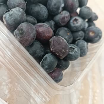 Migros’tan Aldığım Blueberry Eve Geldiğimde Küflü Çıktı İade Talep Ediyorum