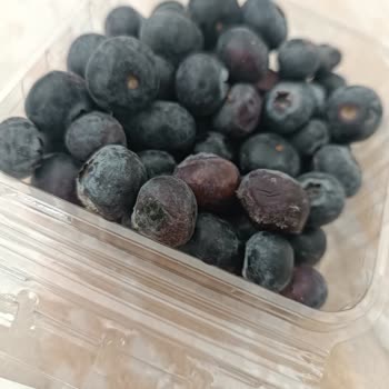 Migros’tan Aldığım Blueberry Eve Geldiğimde Küflü Çıktı İade Talep Ediyorum