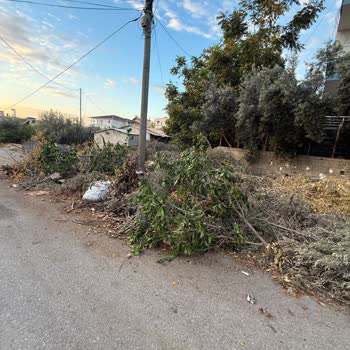 Erdemli Belediyesi'nde Çöp Toplama Sorunu Ve Çevre Kirliliği Mağduriyeti