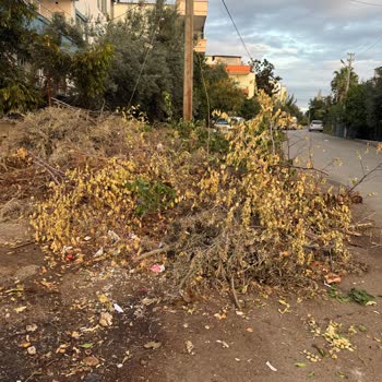 Erdemli Belediyesi'nde Çöp Toplama Sorunu Ve Çevre Kirliliği Mağduriyeti