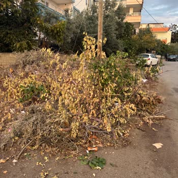 Erdemli Belediyesi'nde Çöp Toplama Sorunu Ve Çevre Kirliliği Mağduriyeti