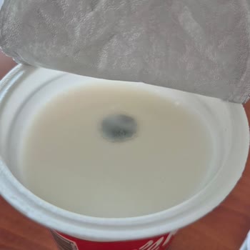 Son Kullanma Tarihi Geçmemiş Ayranda Küf Çıkması Endişe Yarattı