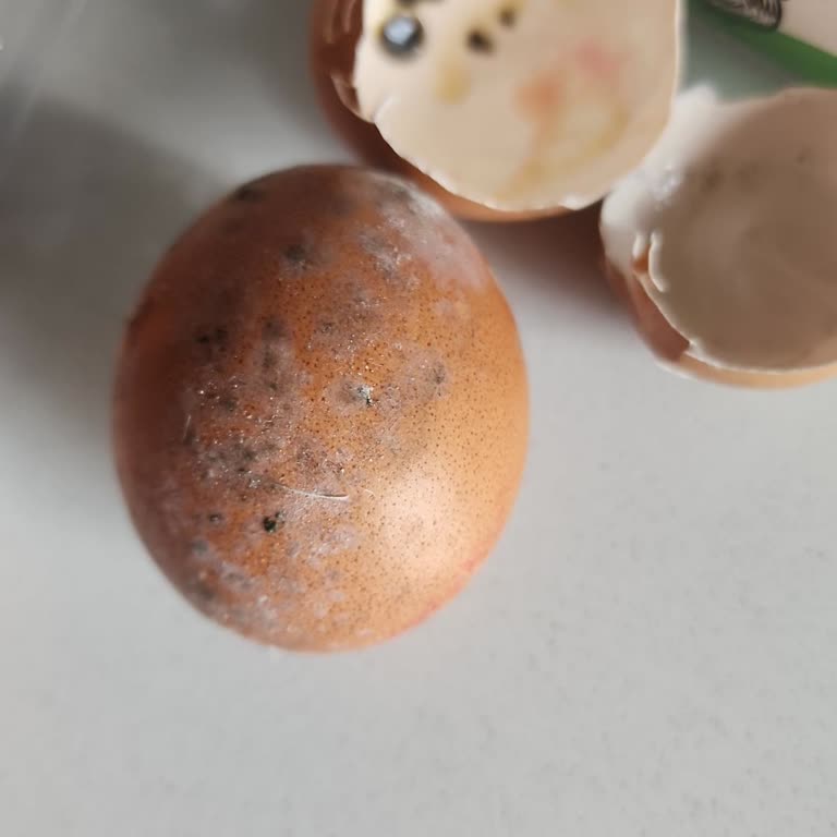 Onur Market Küflenmiş Yumurtalar Nedeniyle Çocuğumun Sağlığı Tehlikeye Girdi!