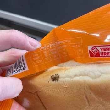 Sandviçin İçinden Çıkan Böcek Parçaları Tatilimi Ve Sağlığımı Mahvetti