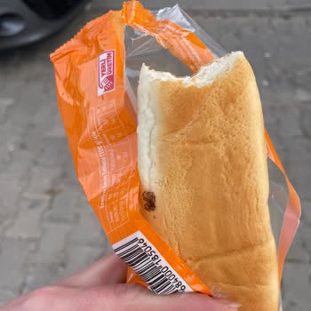 Sandviçin İçinden Çıkan Böcek Parçaları Tatilimi Ve Sağlığımı Mahvetti