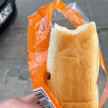 Sandviçin İçinden Çıkan Böcek Parçaları Tatilimi Ve Sağlığımı Mahvetti