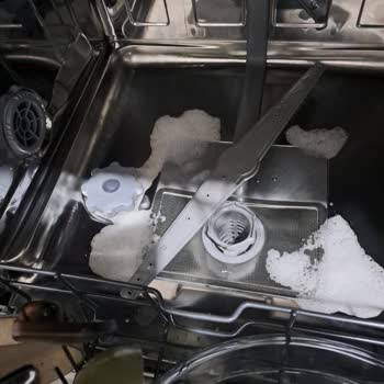 Yeni Alınan Vestel Bulaşık Makinesi Sürekli Arızalı Ve Sağlık Riski Oluşturuyor