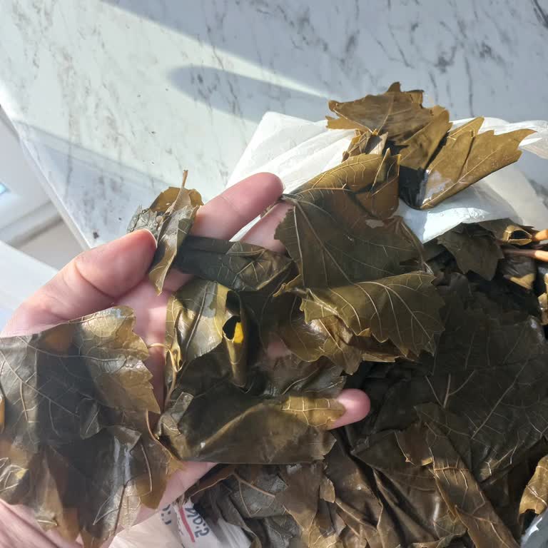 Ayıplı Tokat Yaprağı Ve Yetersiz Müşteri Hizmeti Deneyimi