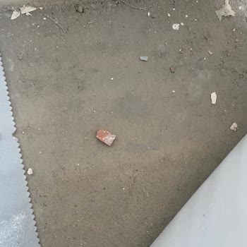 Süregelen Su Sızıntısına Karşı İlgisizlik Ve Hasarların Giderilmemesi